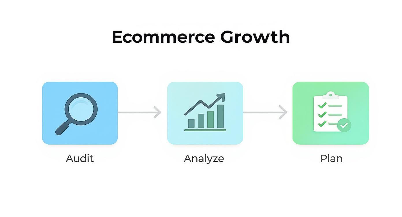 An infographic illustrating three steps for ecommerce growth: Audit, Analyze, and Plan.