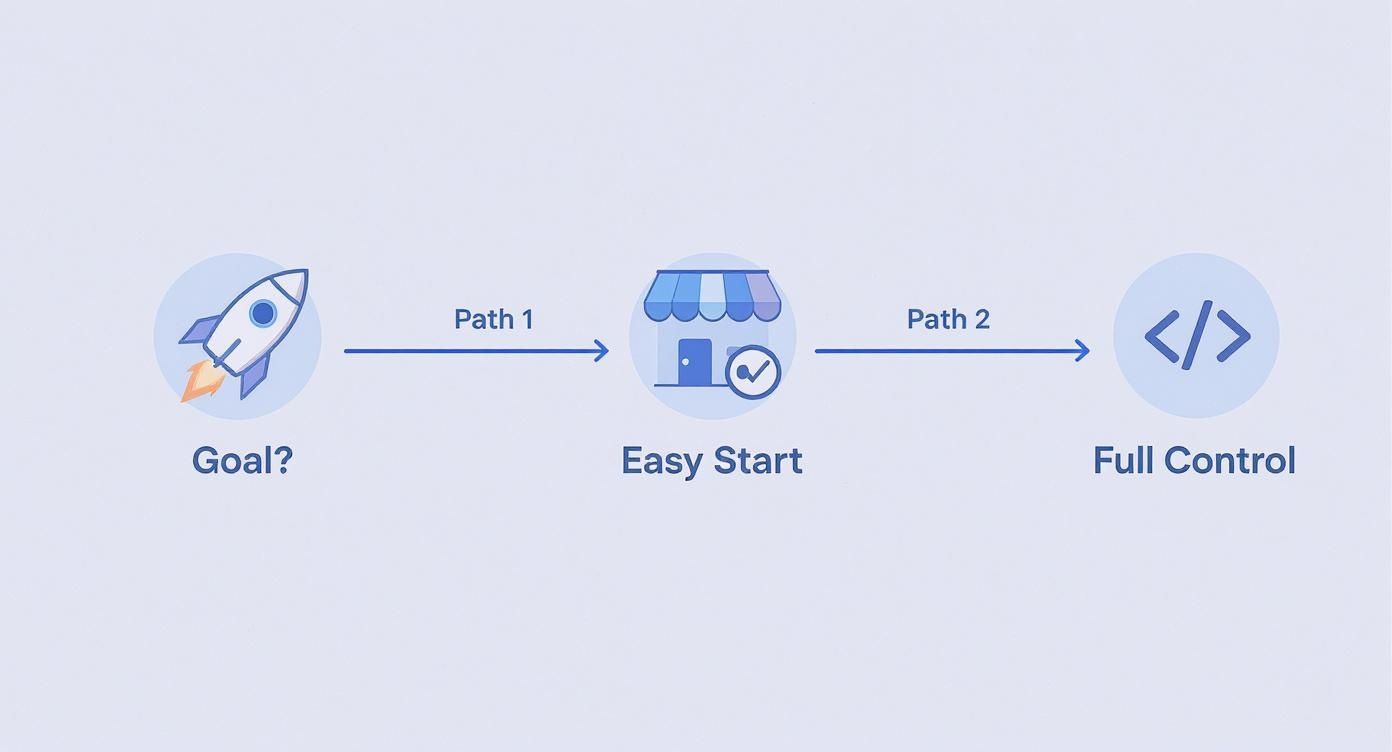 Infographic about how to choose ecommerce platform