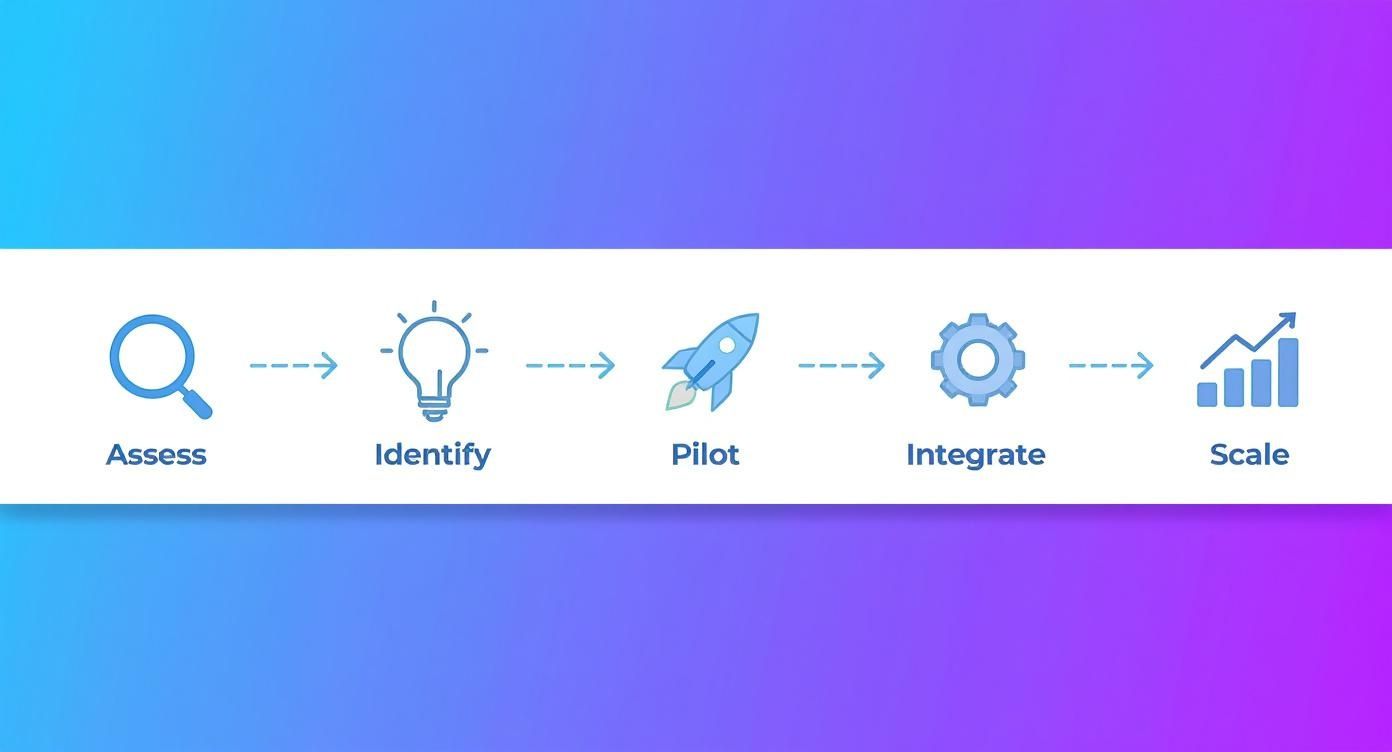 Infographic illustrating a five-step business process: Assess, Identify, Pilot, Integrate, Scale.
