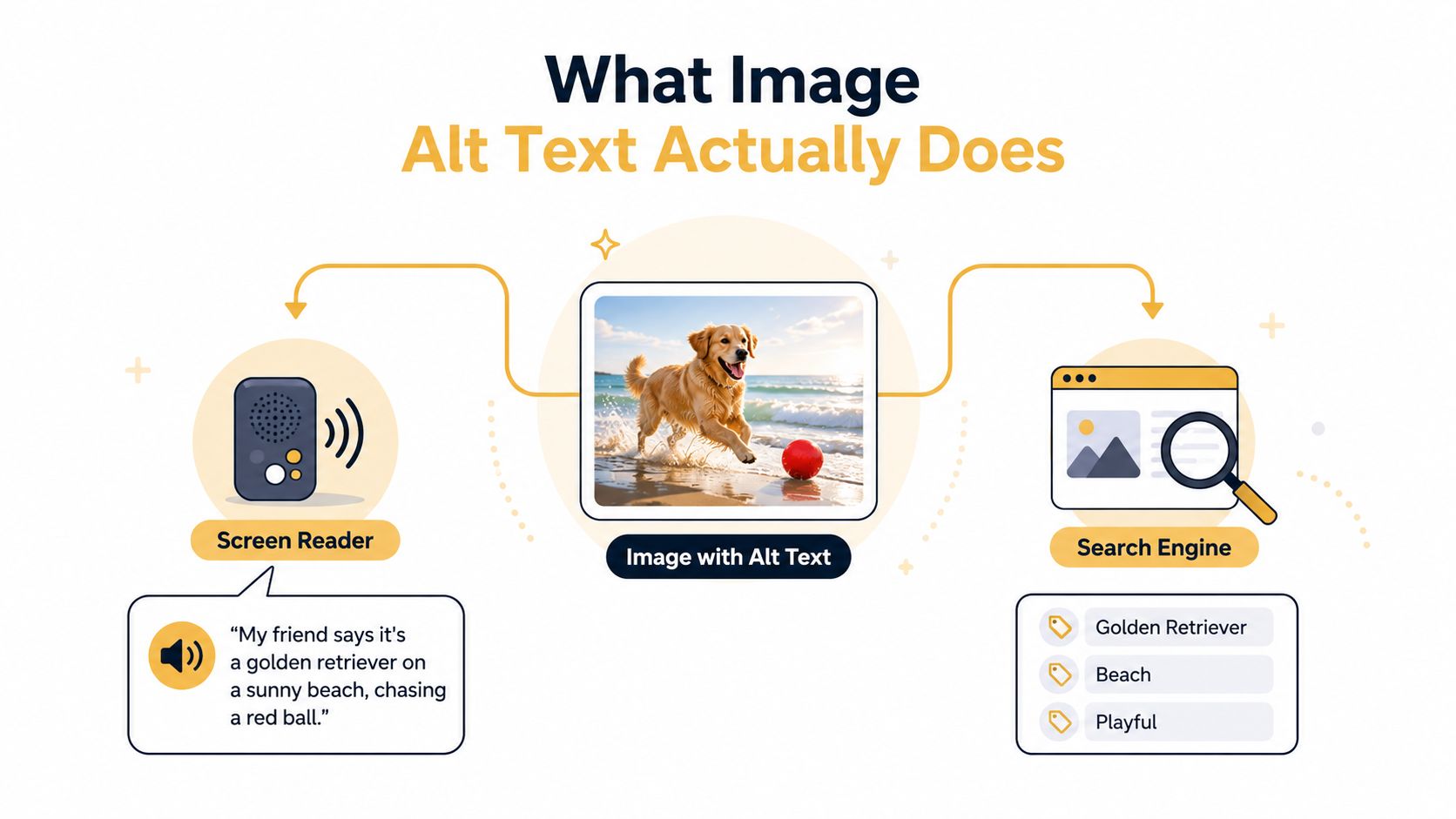 An infographic illustrating how image alt text aids accessibility for screen readers and improves search engine indexing.