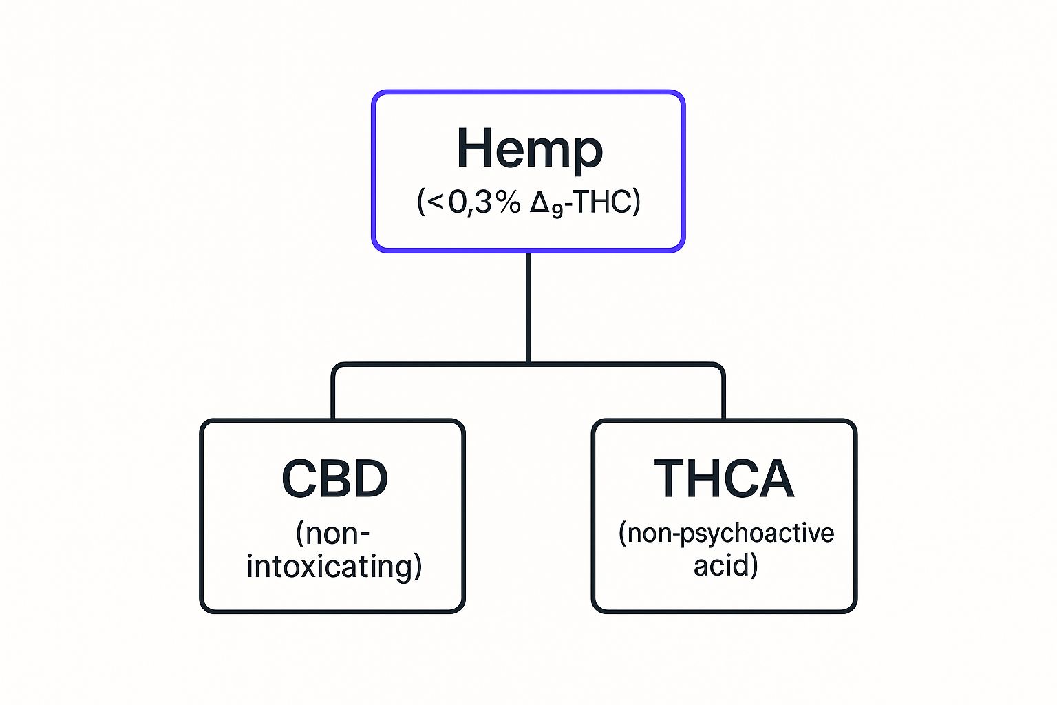 Infographic about CBD/Hemp/THCA Shipping Laws Georgia