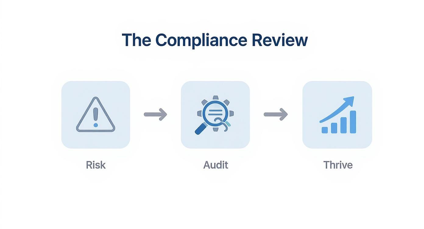 A flowchart illustrating the compliance review process: identifying risks, conducting audits, and achieving growth.