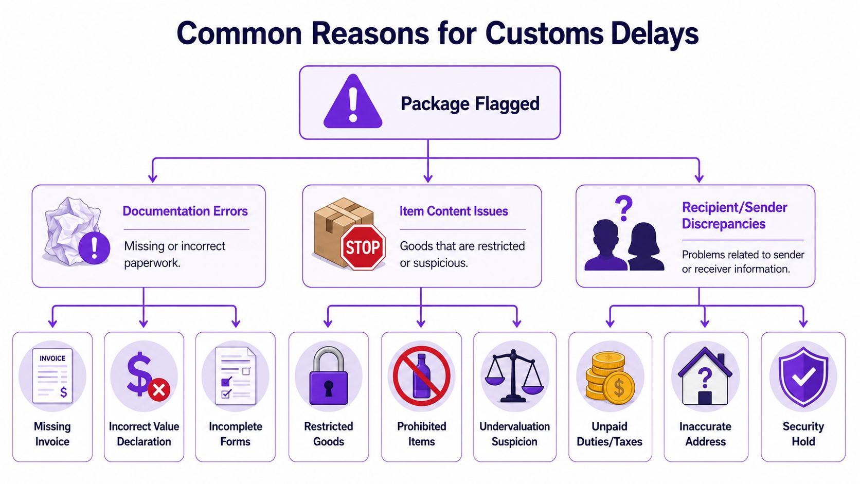 A flowchart showing common reasons for customs delays including documentation errors, item content issues, and sender information discrepancies.