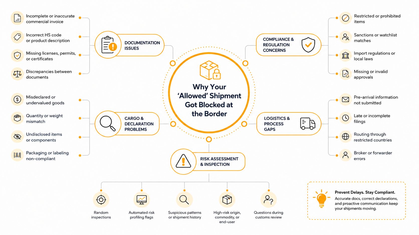 An infographic explaining common reasons why international shipments get blocked by customs and border control authorities.