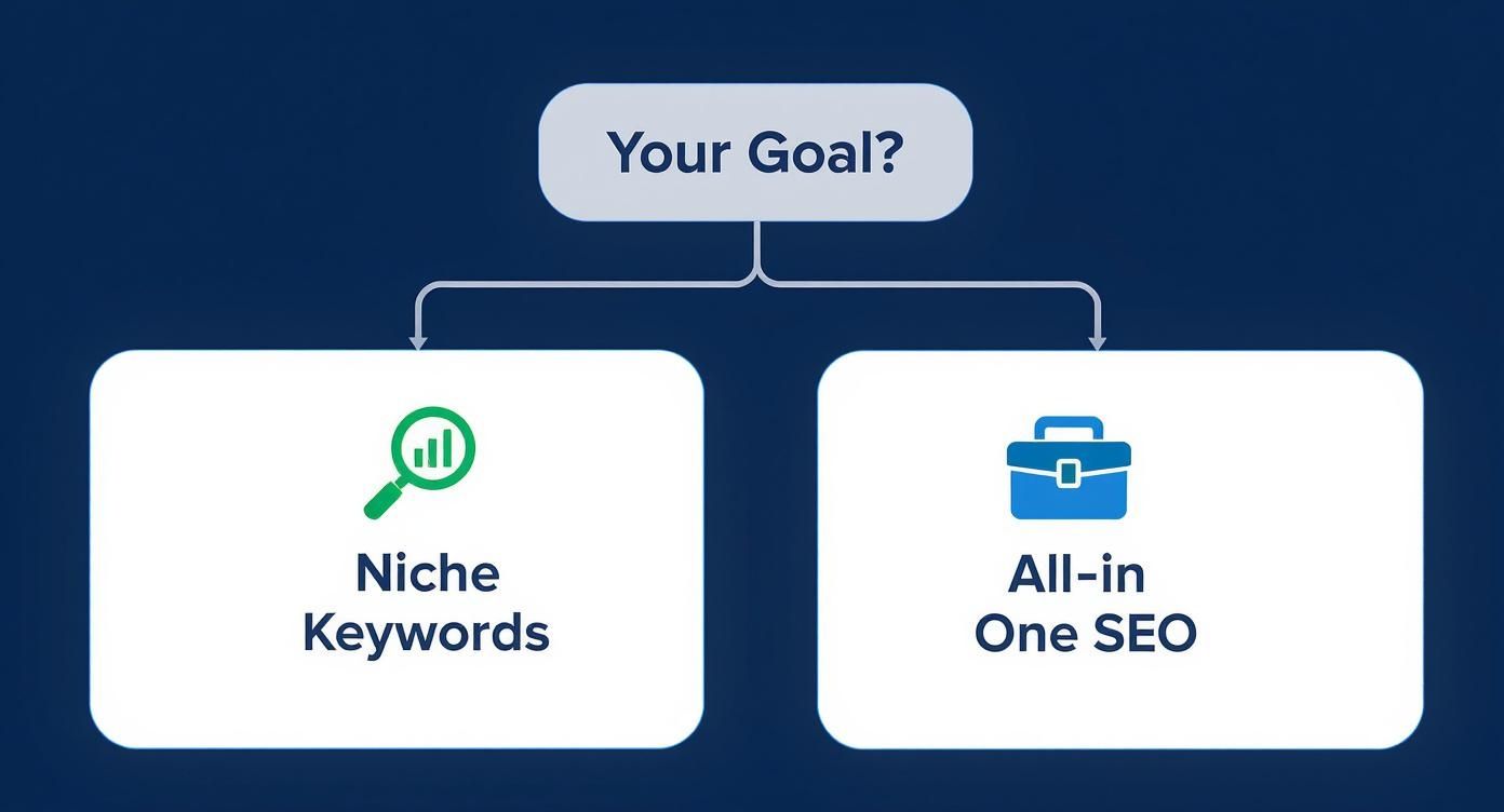 Infographic decision tree showing the choice between Long Tail Pro for niche keywords and Semrush for all-in-one SEO.