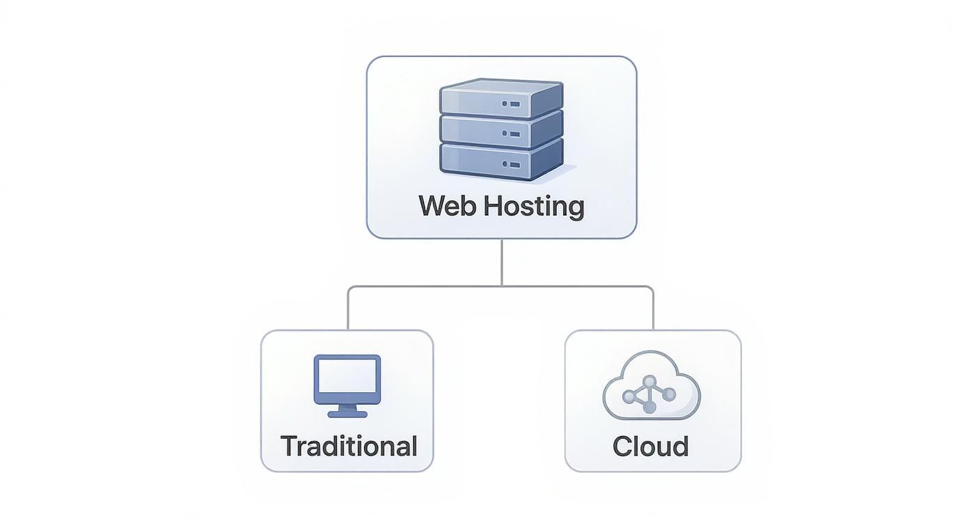 Infographic showing the hierarchy of web hosting, splitting into traditional and cloud models.