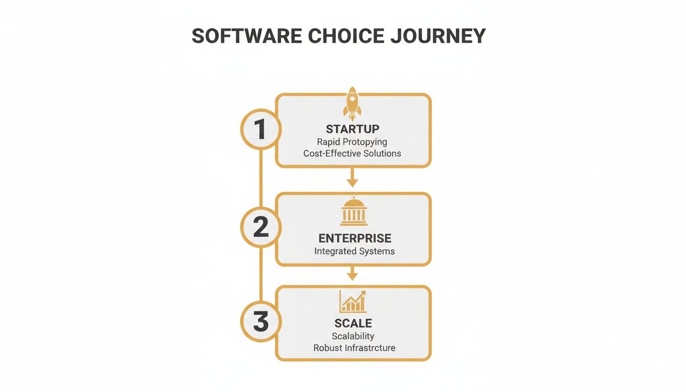 Infographic about what is custom software development