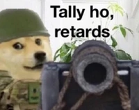 @likestoshootstuff avatar