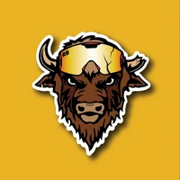 Rad Bison avatar